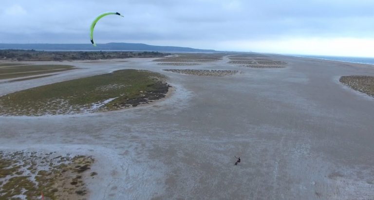Kite Flies