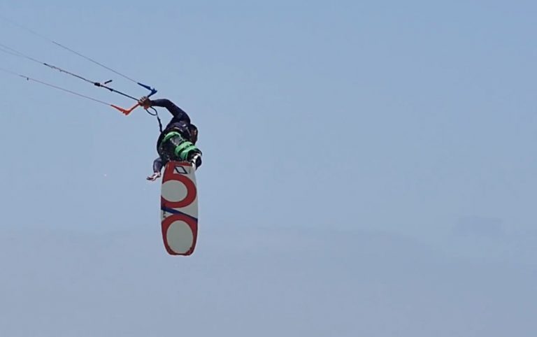 Desert Birds Dakhla 2016
