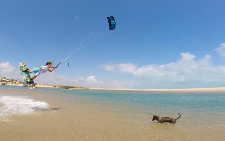 Leleo Kite - #Levelup