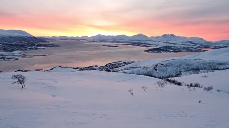 Arctic Winter