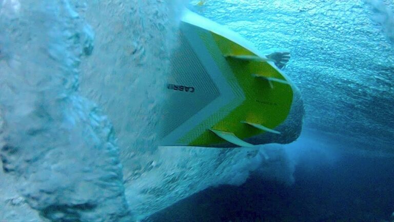 One Eye. Underwater Viewpoint