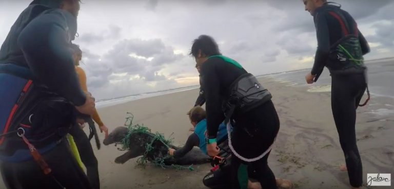 Kitesurf session turns into SEAL rescue!