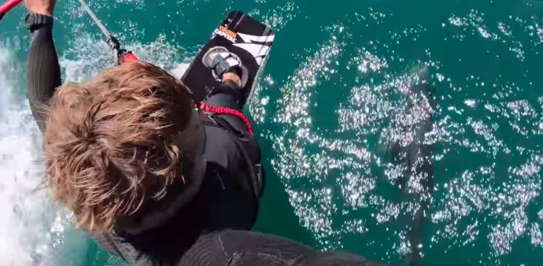 Kitesurfing With Dolphins