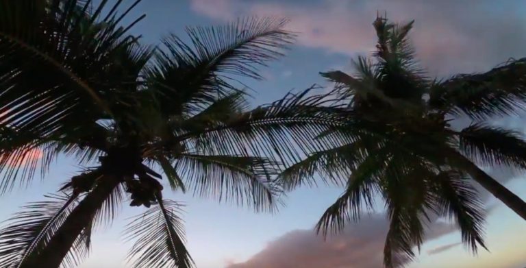The Virgin Islands