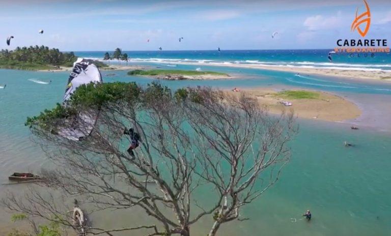 Kiteboarding Tree Accident