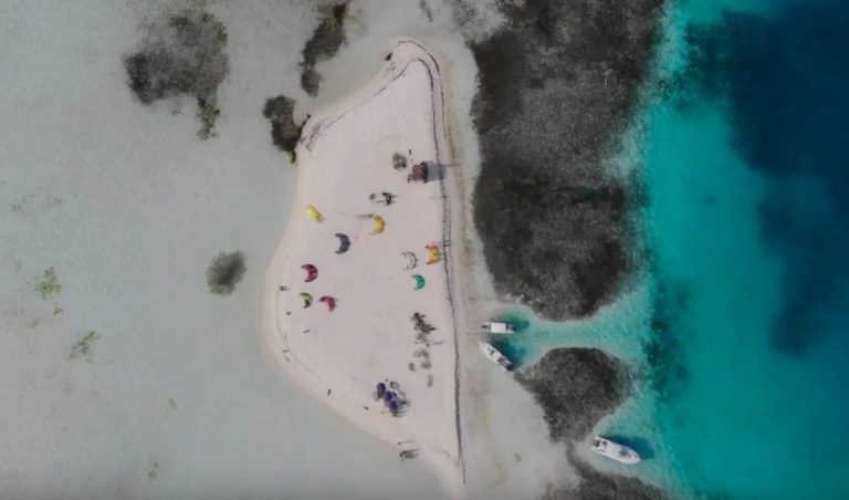 Best Video of 2019 [Nomination] - ALEGRÍA Y SAL