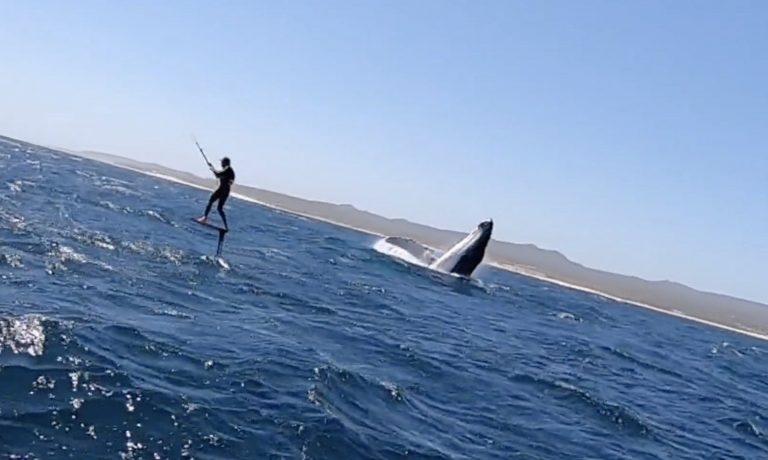 Kite Foiling With Giants