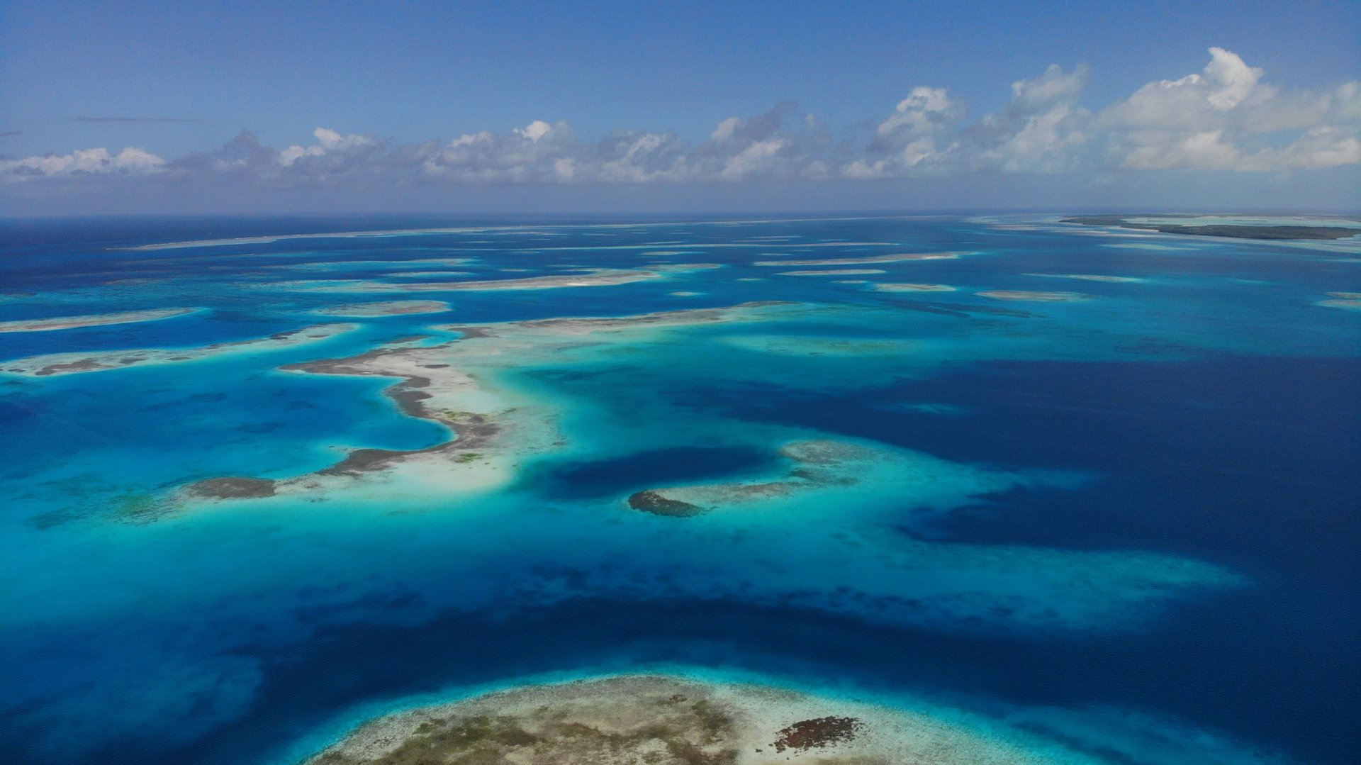 “CUARENTENA” – Quarantine in Paradise