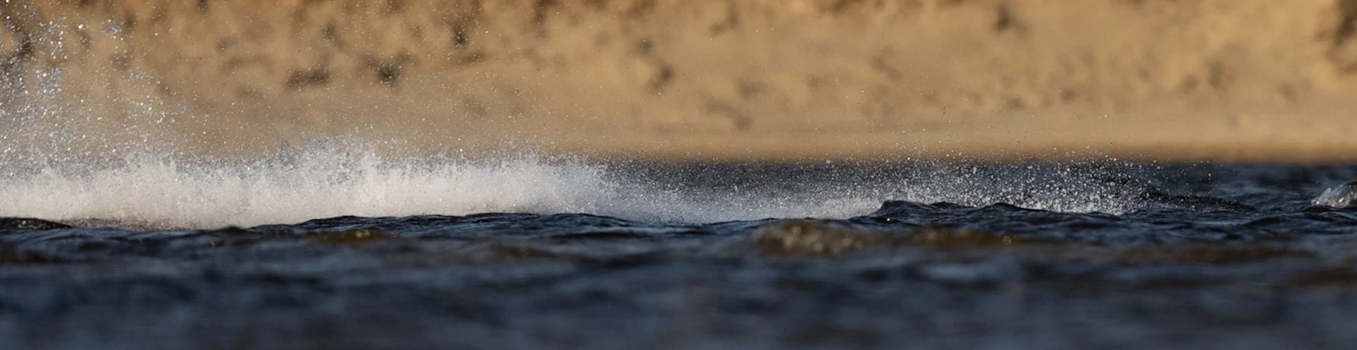 North 2022 Freestyle Product Overview
