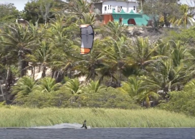 Kite jungle 🌴