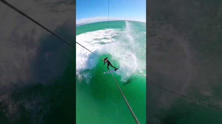 Did you see the seal?  // kitesurfing
