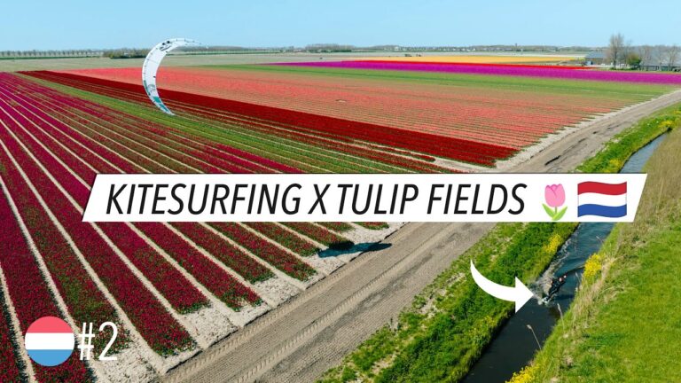 Kitesurfing X Tulip fields Ep.2