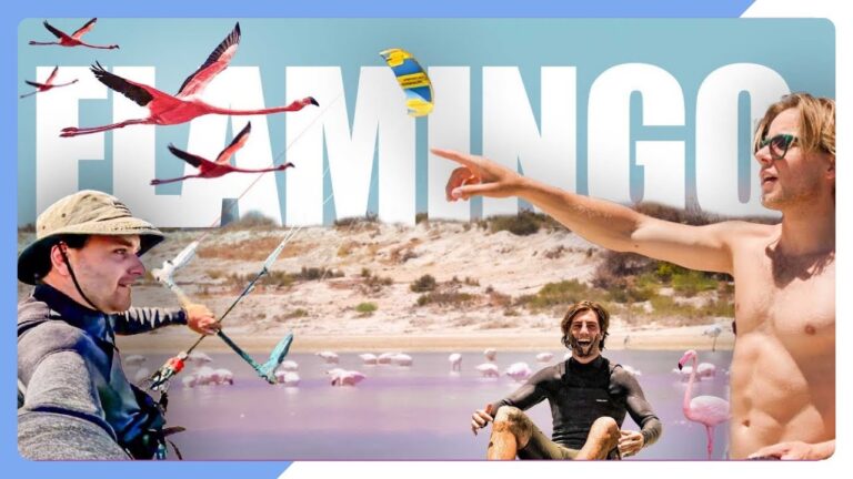 KITESURFING ON A FLAMINGO FARM