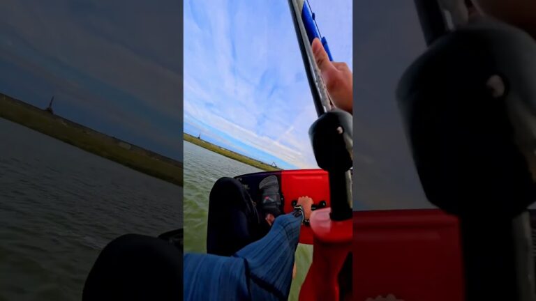 Try not to get DIZZY ‍