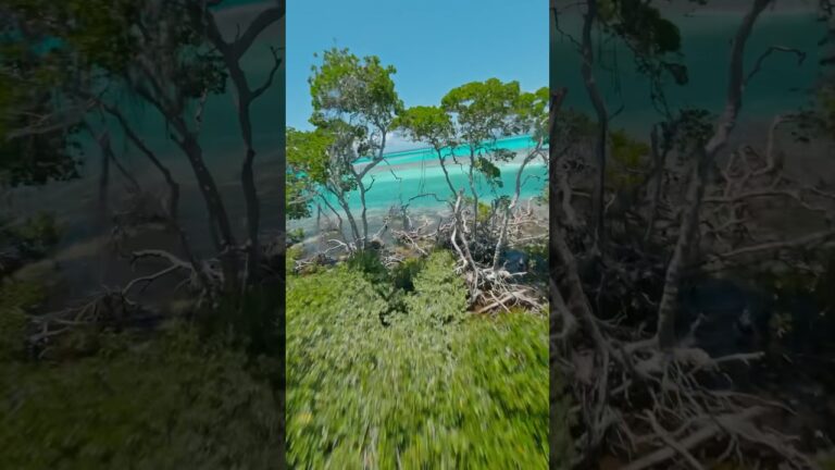 Exploring the beautiful islands of los roques