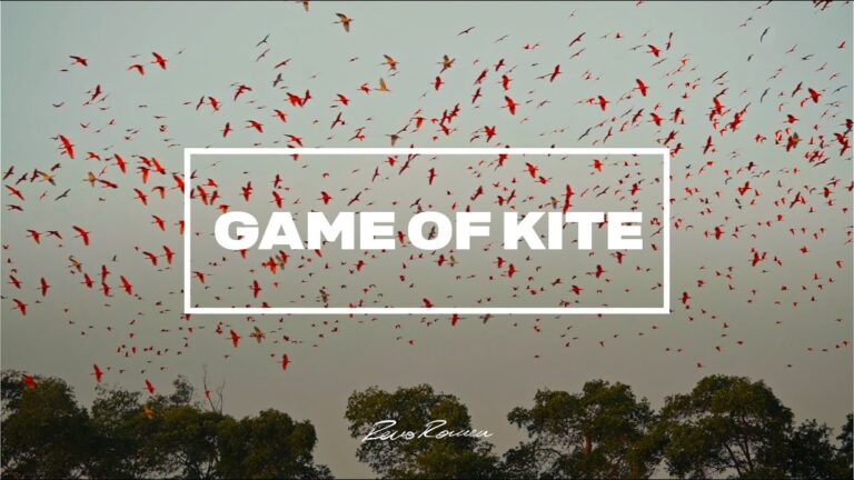 Game of Kite