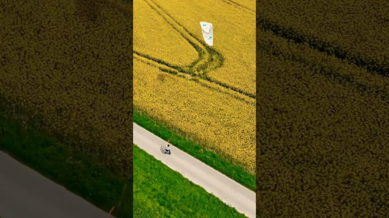 KITE SKATE yellow fields! As seasons change! #courtintheact #surfskate #truekiteboarding #kite