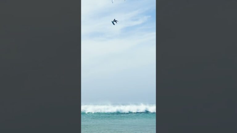 Tarifa is delivering
