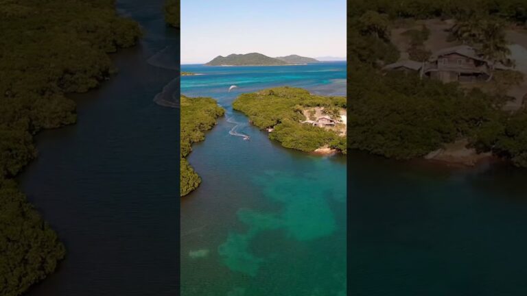 Spot the Dlab! Threading the mangroves in #honduras what a #mission #courtintheact #watersport