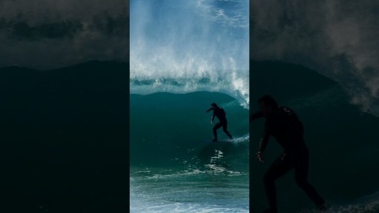Visualisation just dropped, check it out!