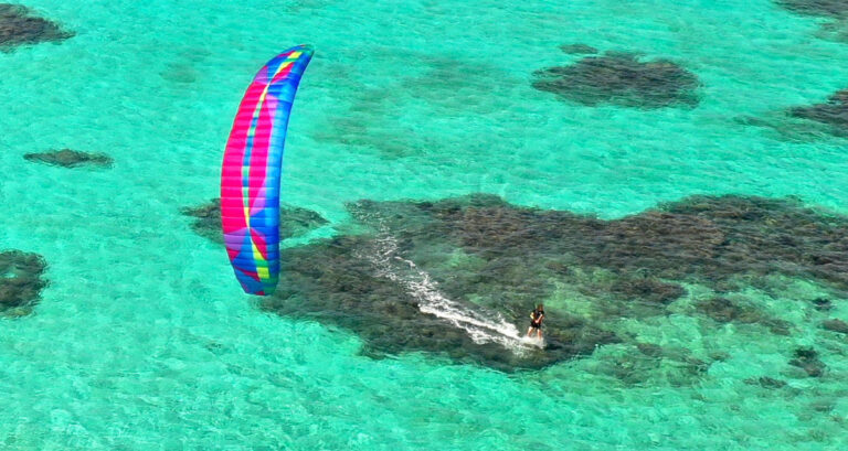 Airwave Kiteboarding | Good news, KOALA lovers!
