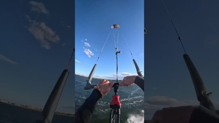 It’s World of Wind #14 Fresh moments from the Ozone community!