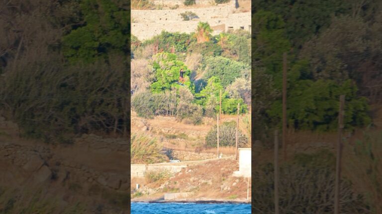 Can you guess how high did I jump? #extremesports #kiteboarding #watersports