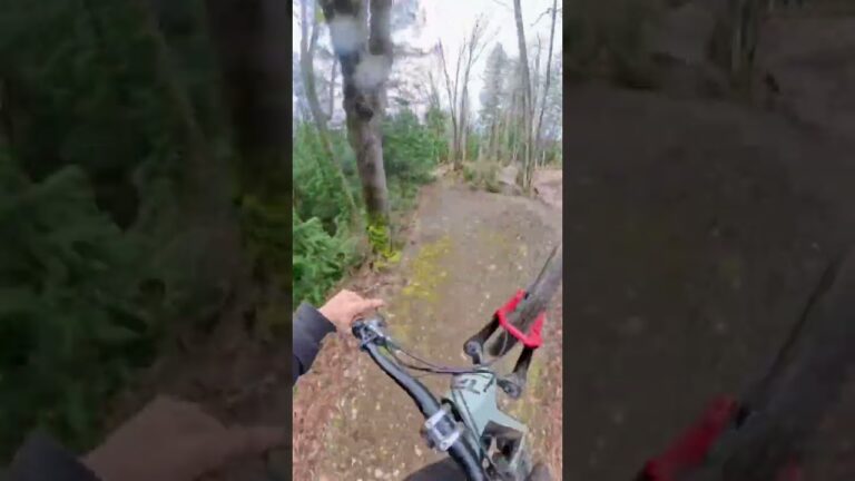 ::: POV Fast through the trees, light off the lip, back into the line.