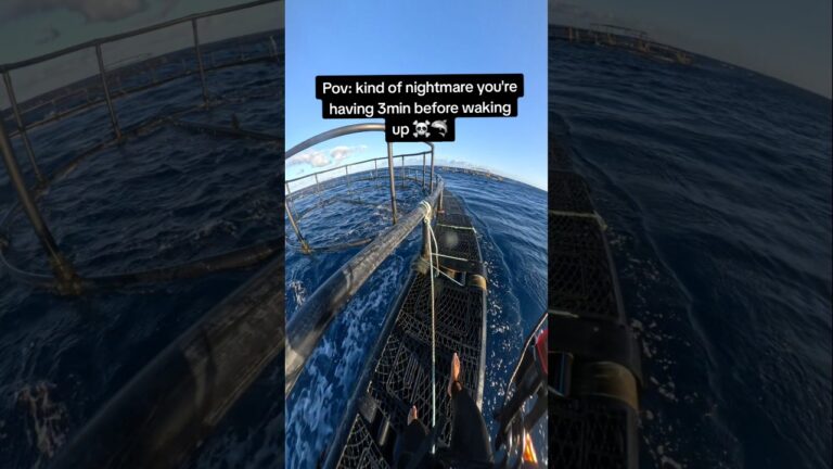 Climbing on a shark cage